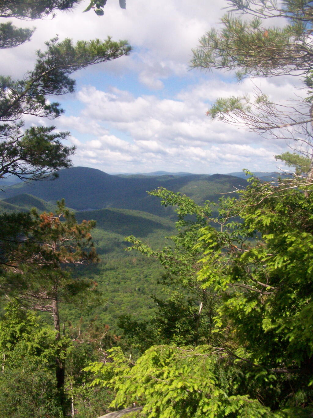 Photo: Peaking Thru The Trees Photo: Peaking Thru The Trees