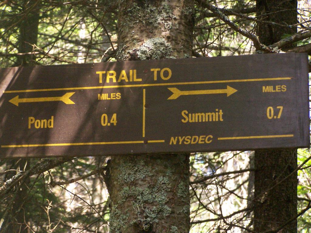 Photo: Trail Splits