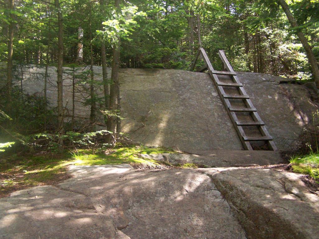 Photo: First Ladder Photo: First Ladder