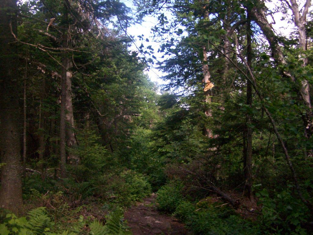 Photo: Flattens Out Photo: Flattens Out