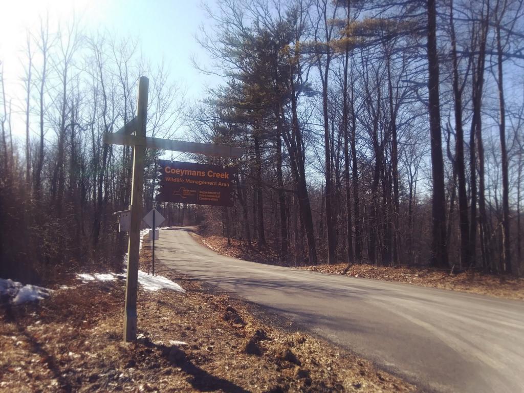 Photo: Exploring the Coeymans Creek WMA Today