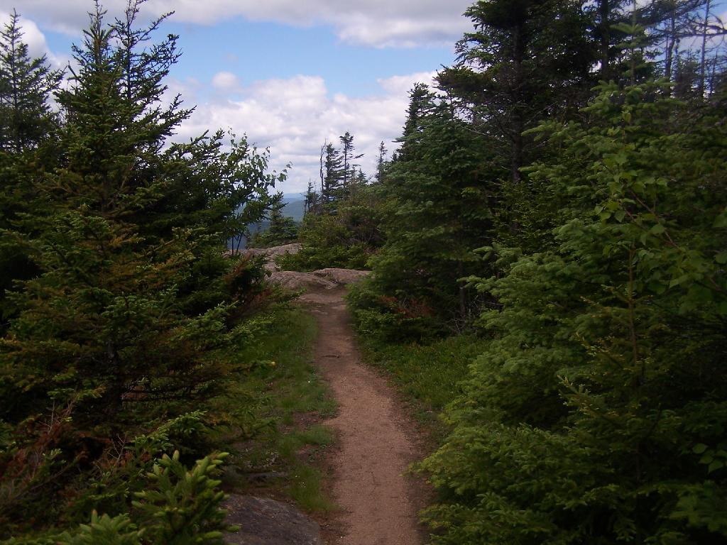 Photo: Further Down the Trail Photo: Further Down the Trail