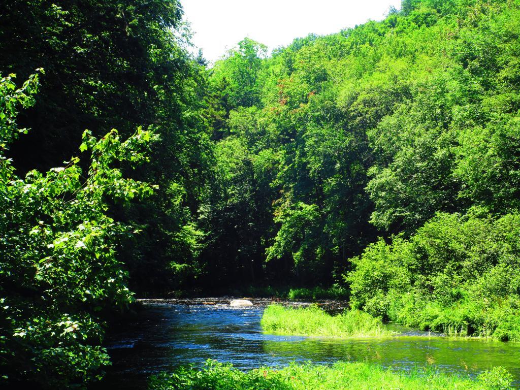 Photo: Stoney Creek