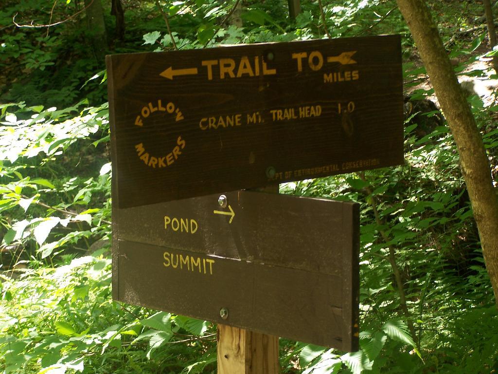 Photo: One Mile Left Photo: One Mile Left