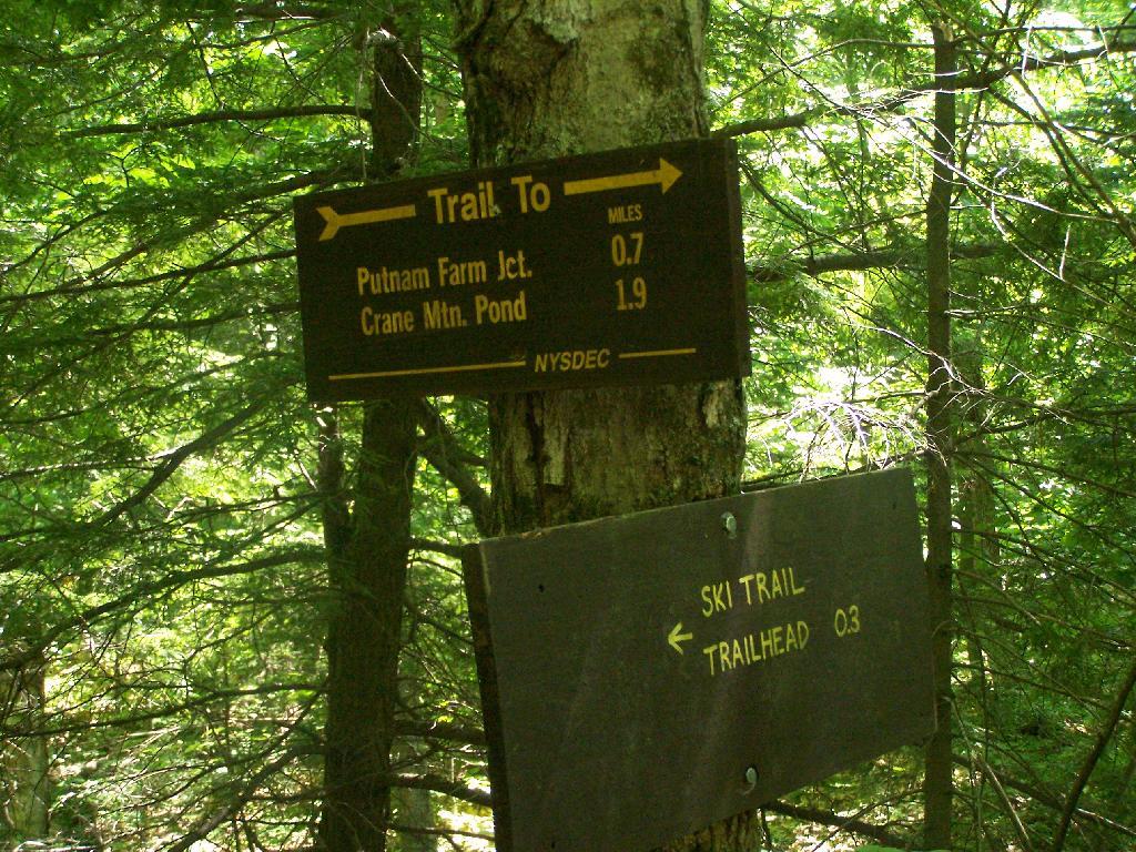 Photo: 3/10 of a Mile Left Photo: 3/10 of a Mile Left