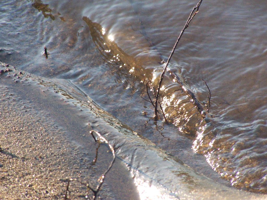Photo: Water