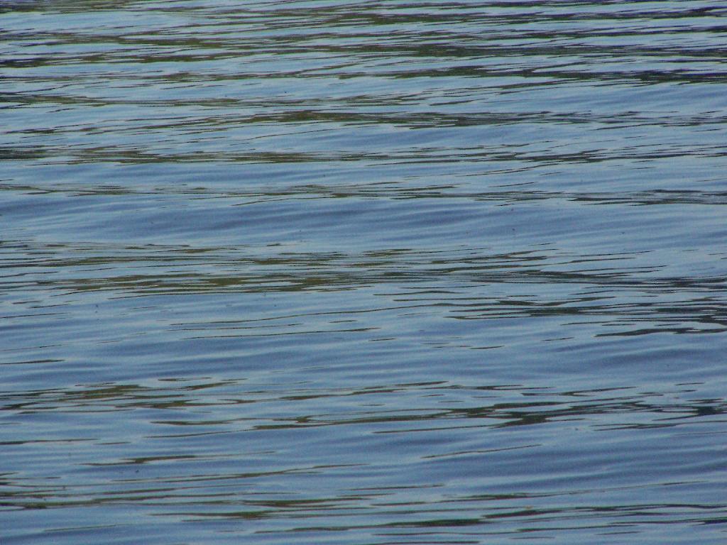 Photo: Waves