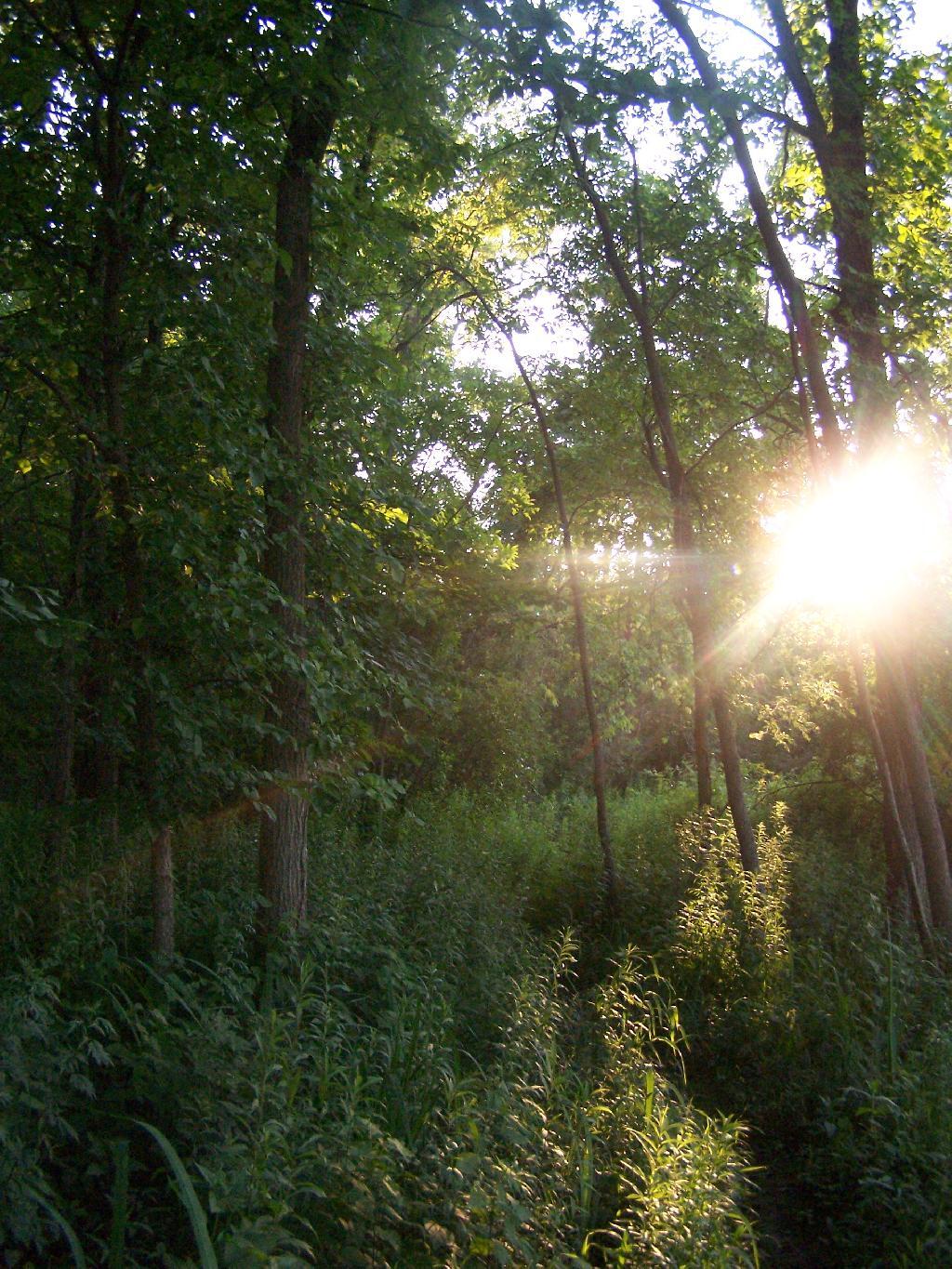 Photo: Setting Sun Photo: Setting Sun