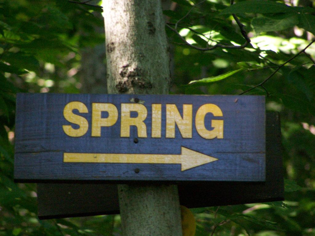 Photo: Spring