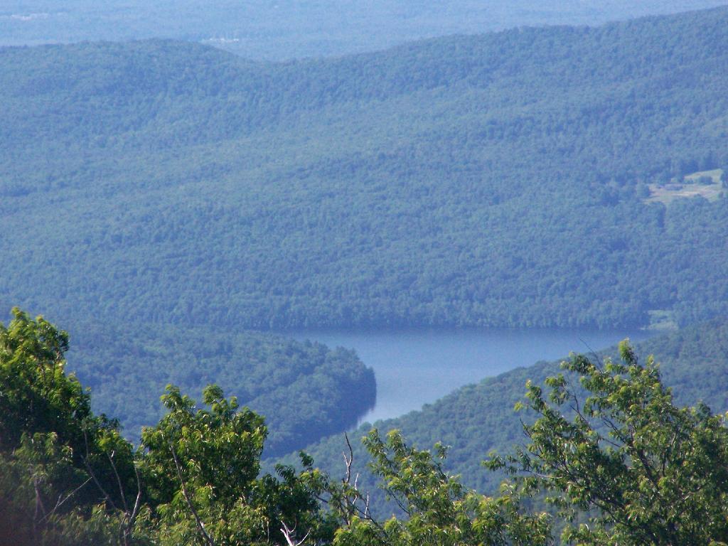 Photo: Roundup Reservior