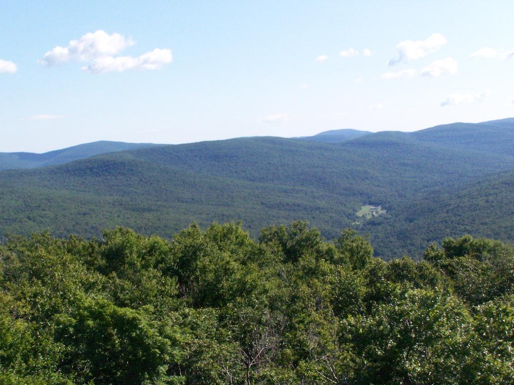 Photo: North Towards Catskills