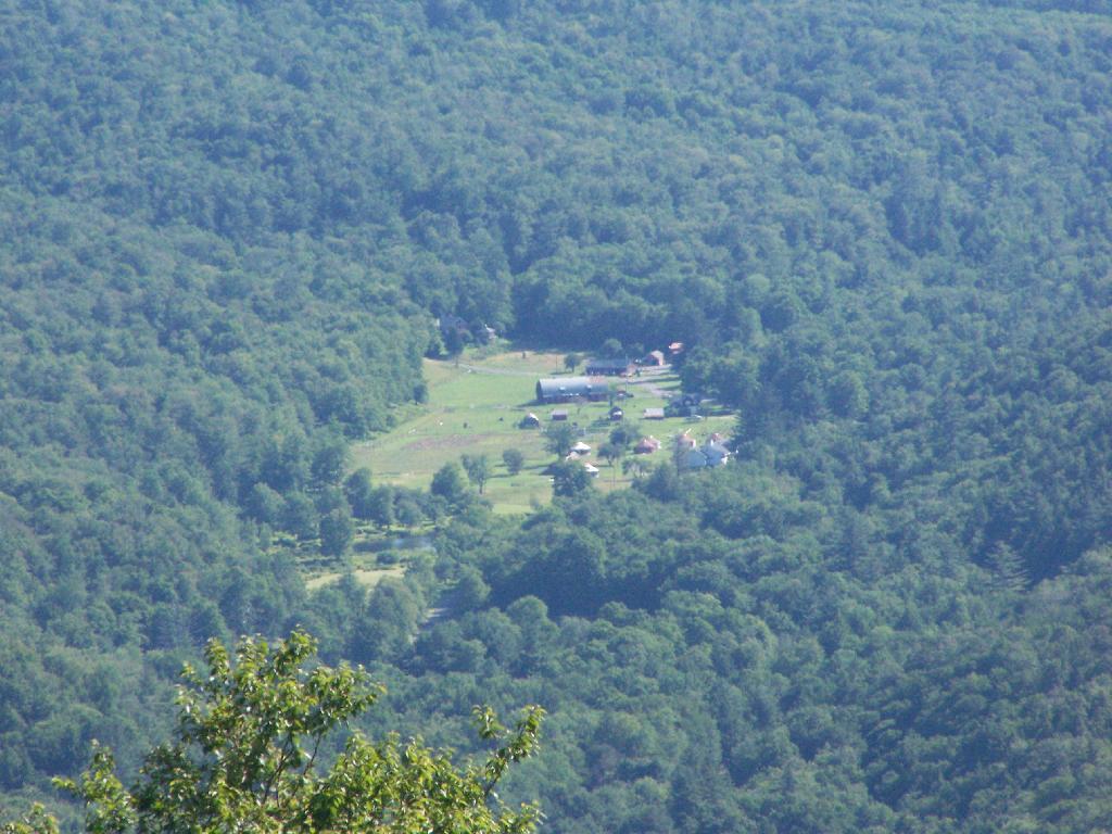 Photo: Farm Overhead