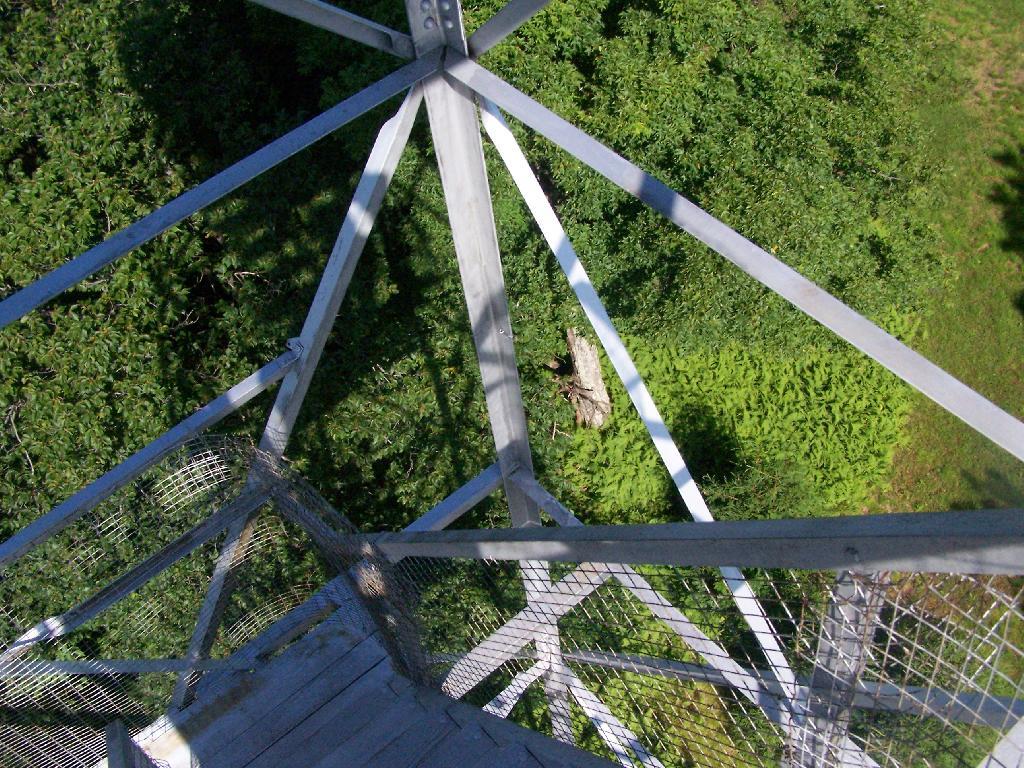 Photo: Looking Down Photo: Looking Down