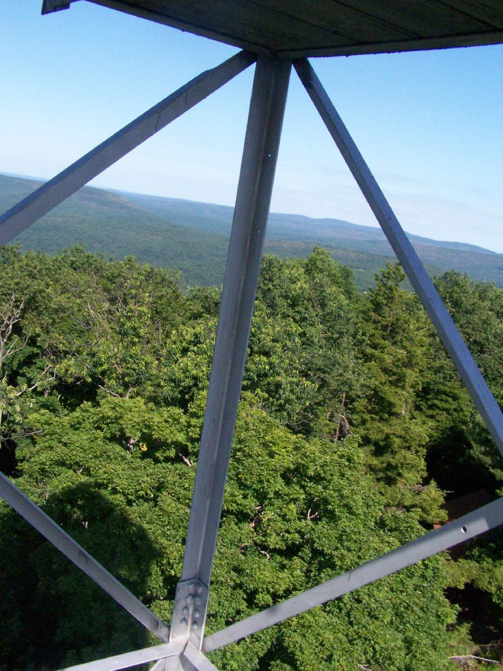 Photo: Thru Tower Photo: Thru Tower