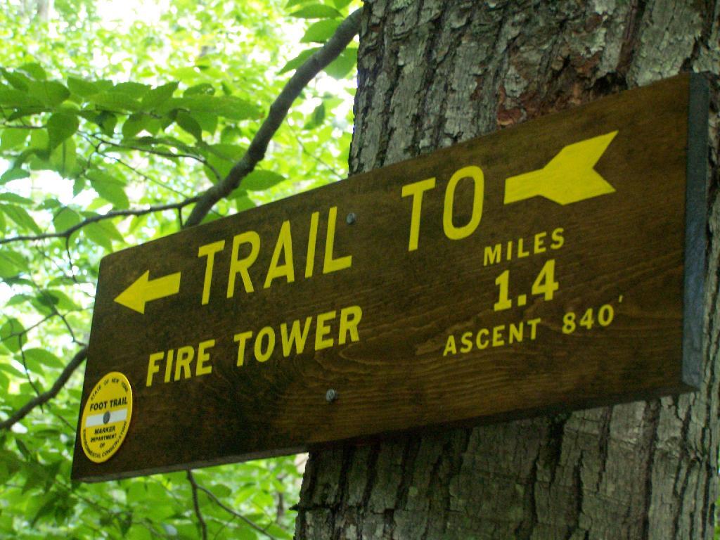 Photo: 1.4 Miles to Firetower Photo: 1.4 Miles to Firetower
