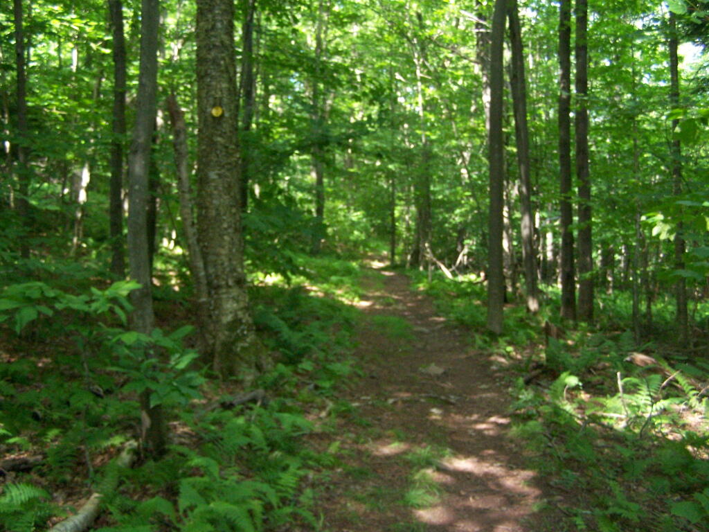 Photo: Easy Walk to Tower Photo: Easy Walk to Tower