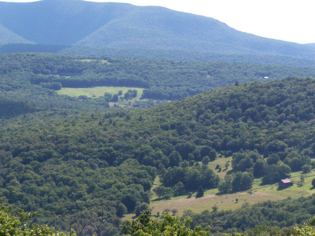 Photo: Farms in Valley Photo: Farms in Valley