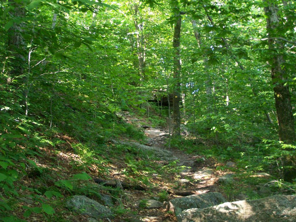 Photo: Steeper Trail Photo: Steeper Trail