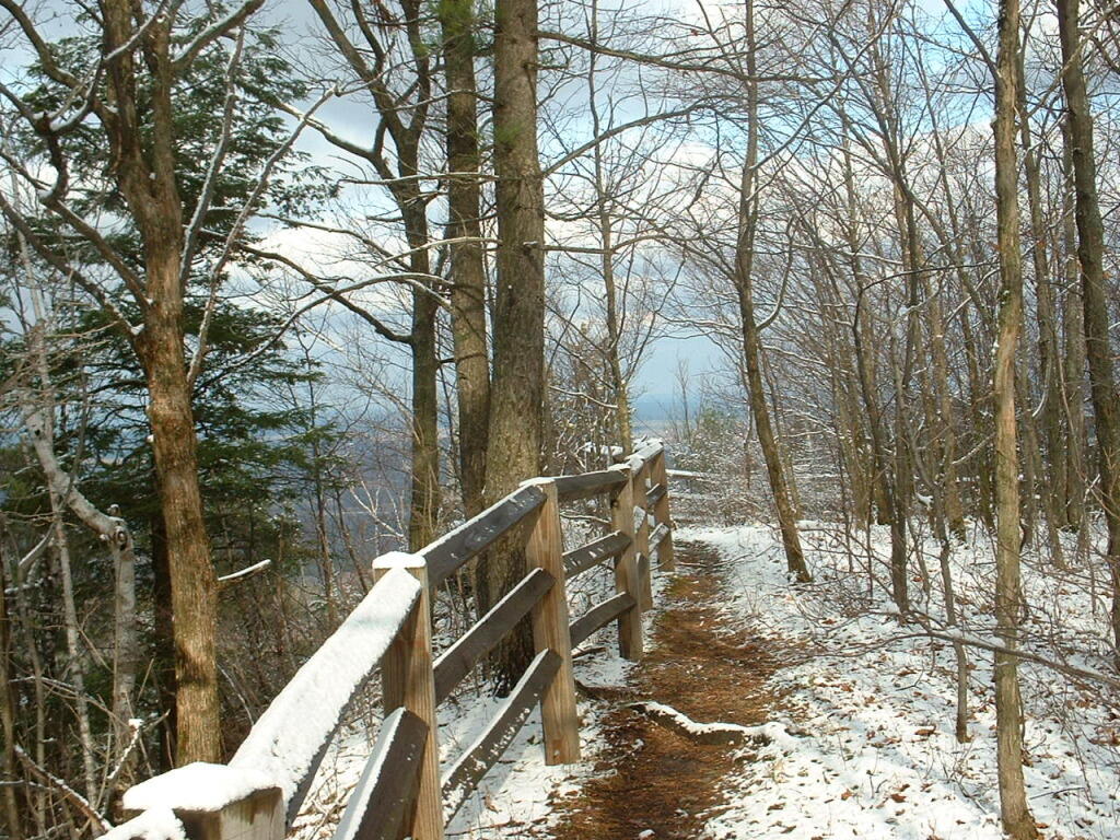 Photo: Railing Photo: Railing