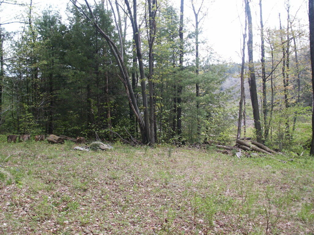 Photo: Campsite