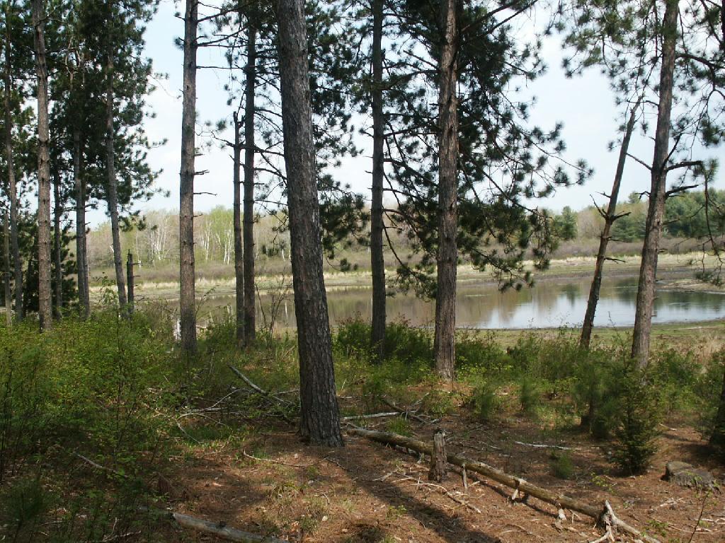 Photo: Pond