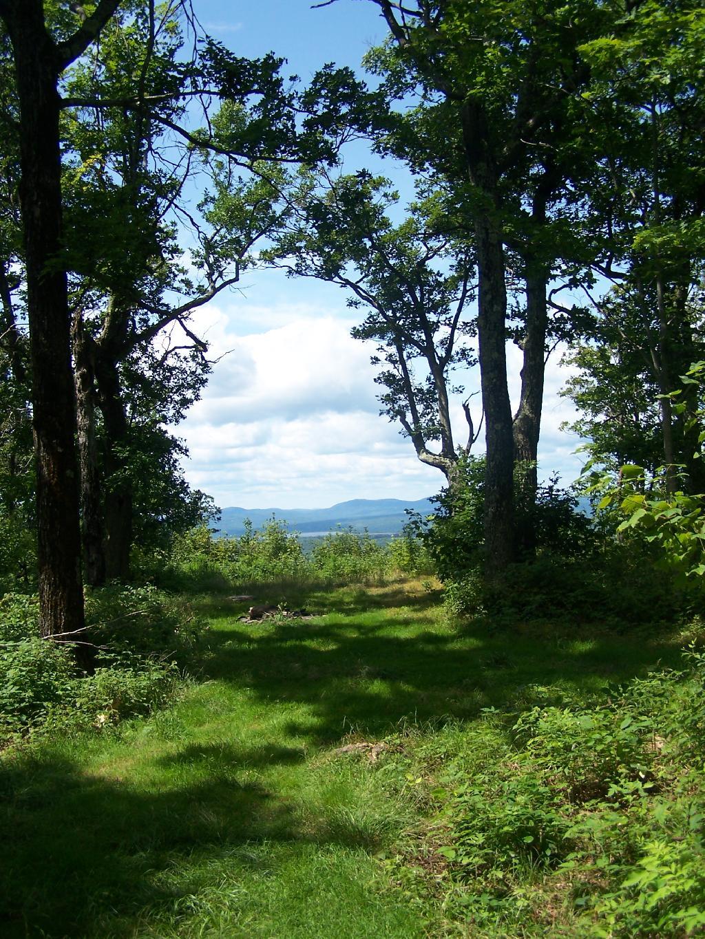Photo: Camp Site