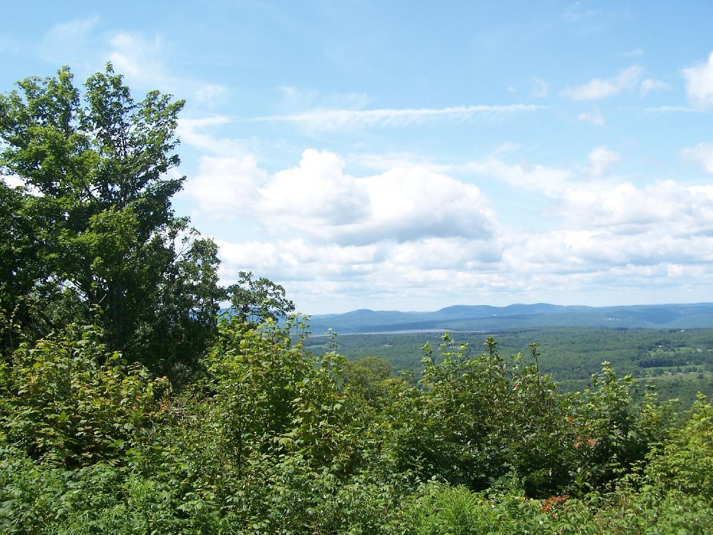 Photo: With a View