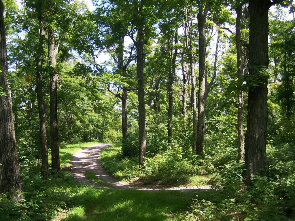 Photo: Truck Trail to Tower