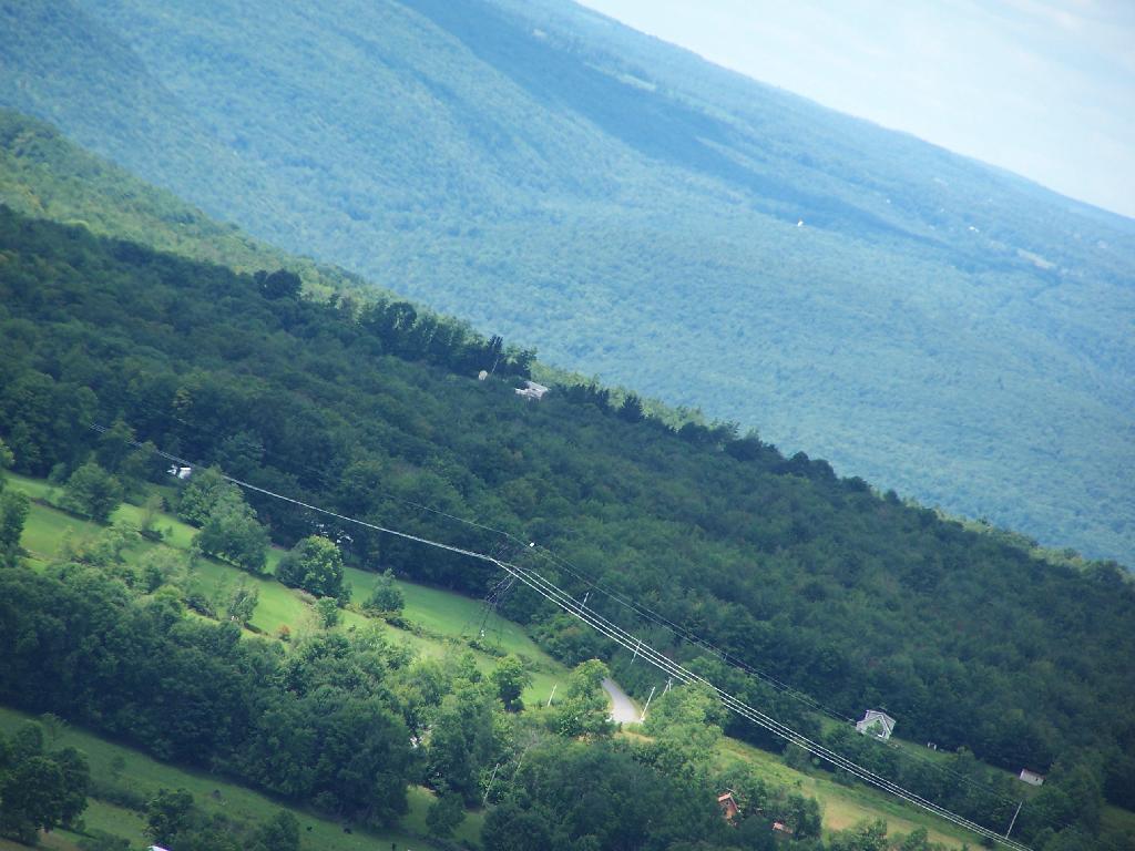 Photo: Powerlines
