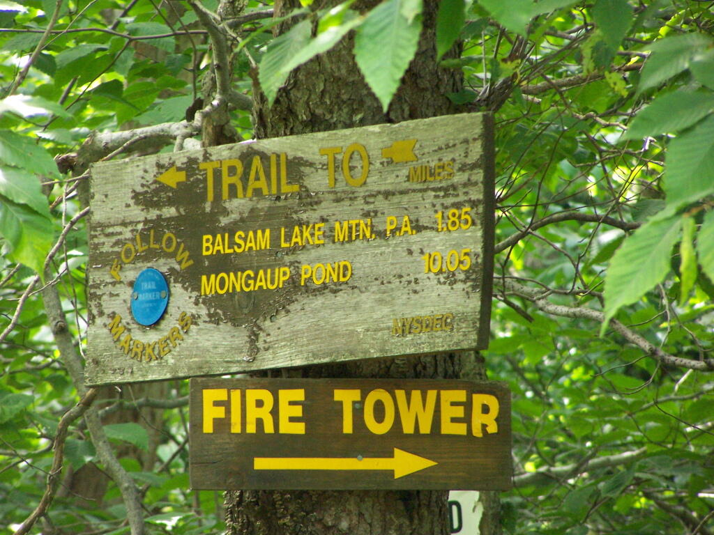 Photo: Fire Tower Sign