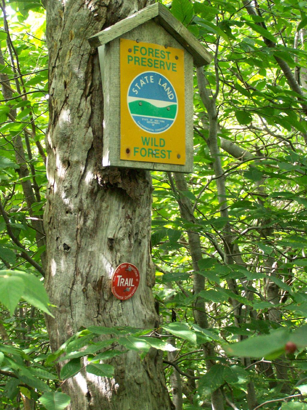 Photo: Entering the Forest Preserve