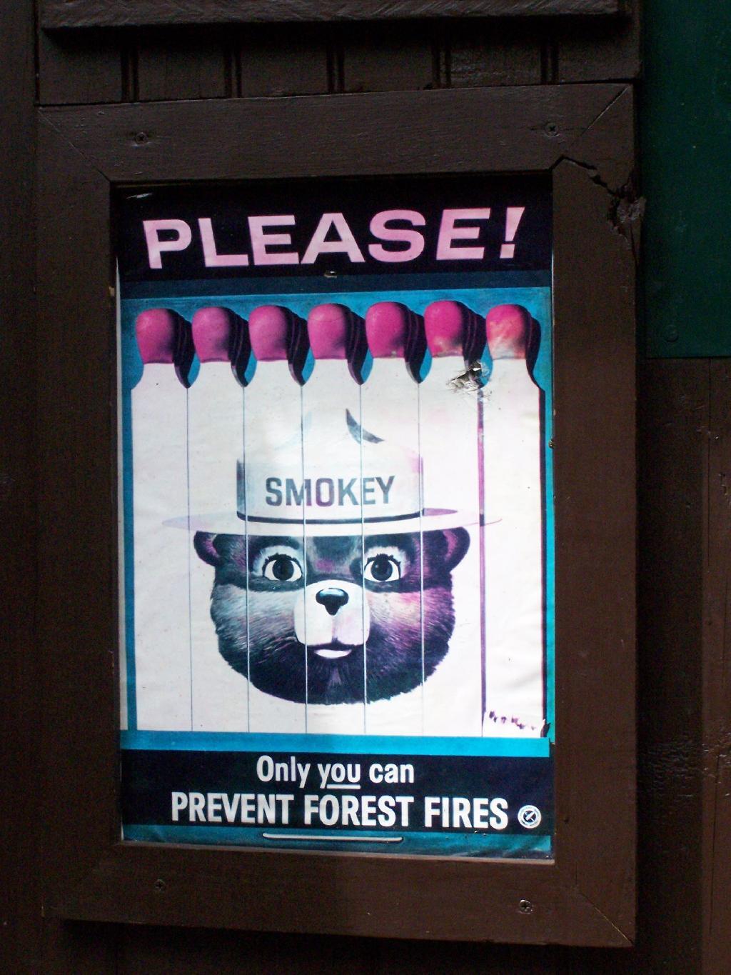 Photo: Only You Can Prevent Forest Fires