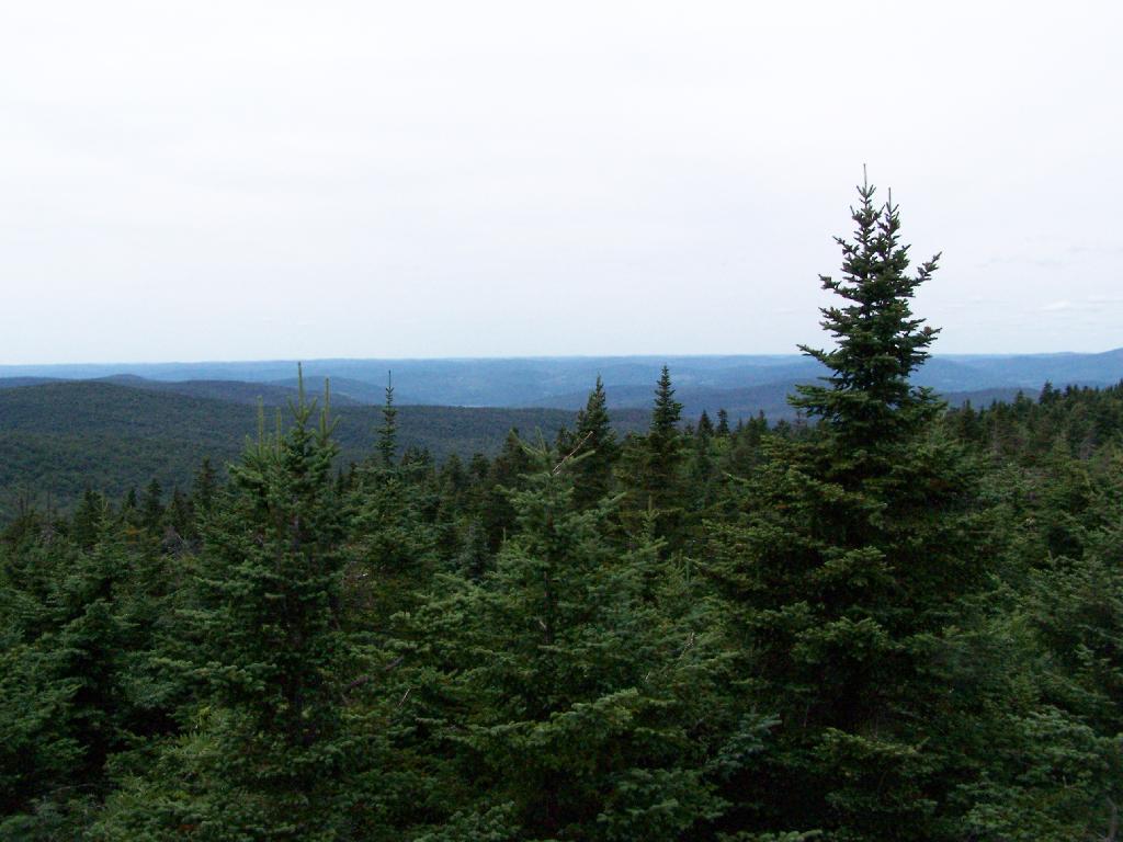 Photo: North Off the Tower