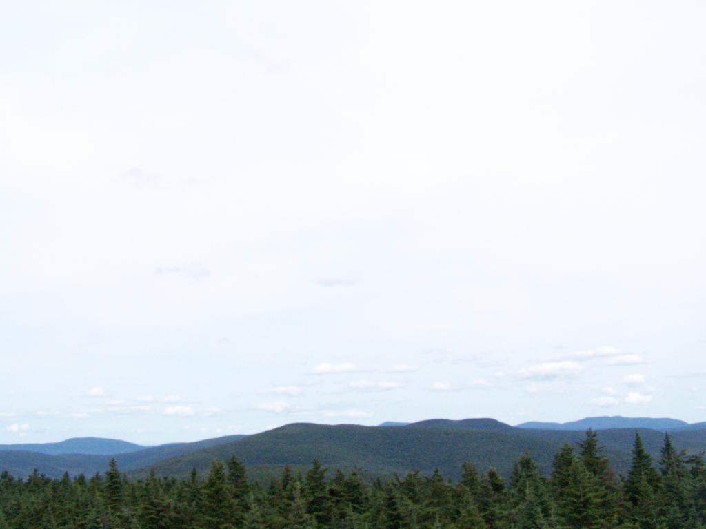 Photo: West from Tower