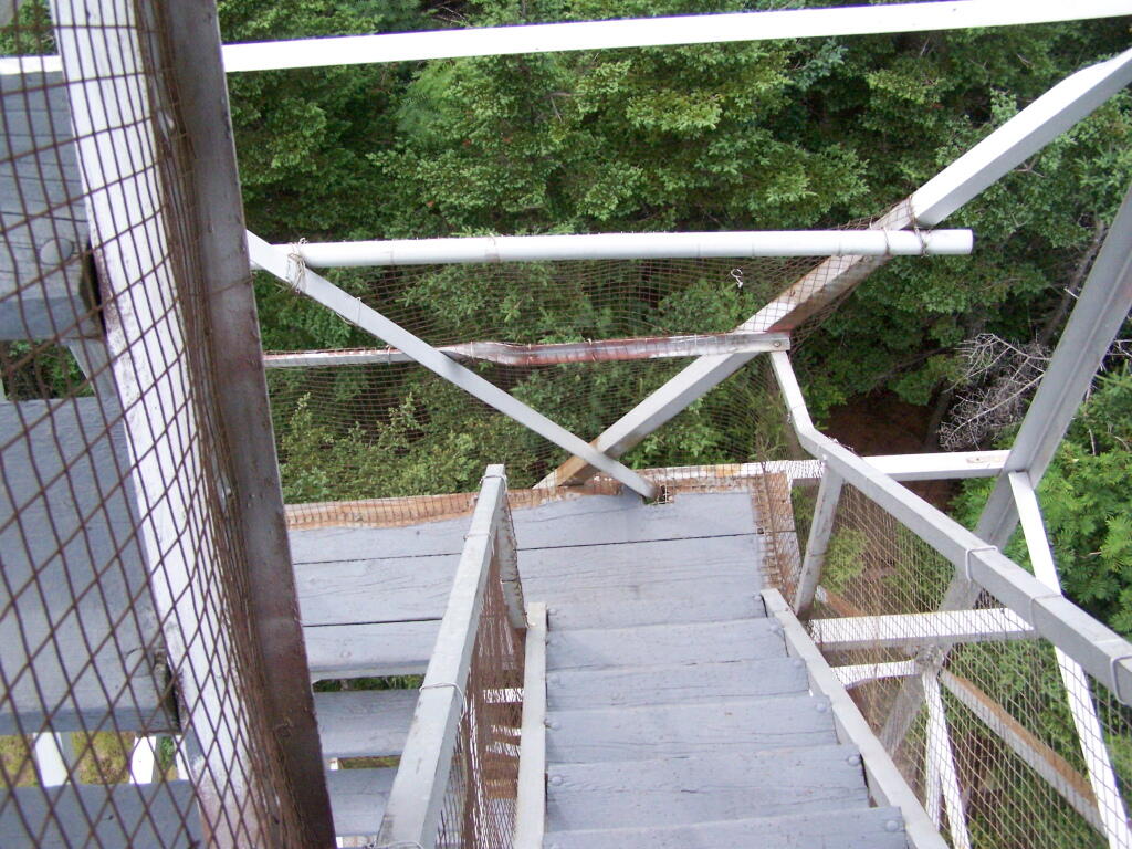 Photo: Looking Down Photo: Looking Down