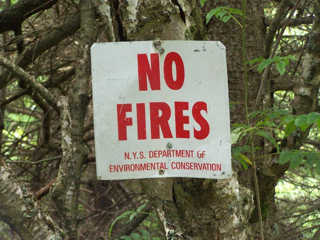 Photo: No Fires at Fire Tower Photo: No Fires at Fire Tower