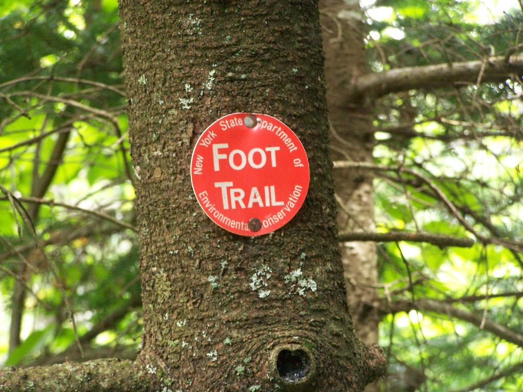 Photo: Red Trail