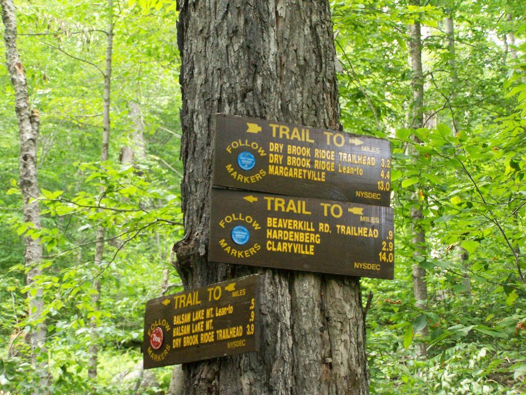 Photo: Trail Back to Dry Book Parking Area