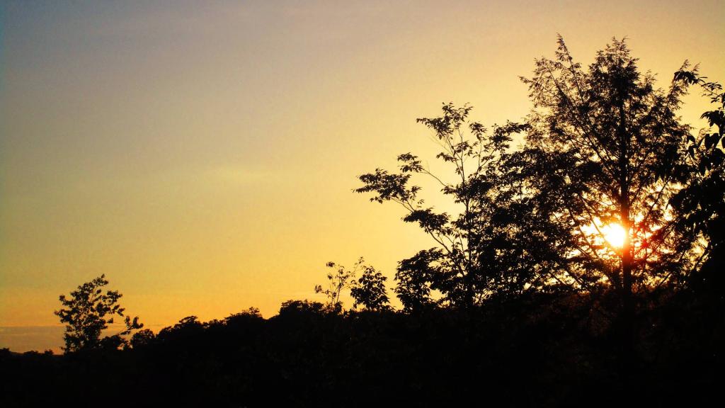 Photo: Setting Sun Photo: Setting Sun