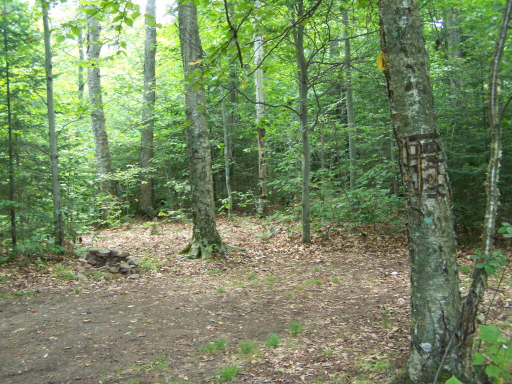 Photo: Alternative Campsite