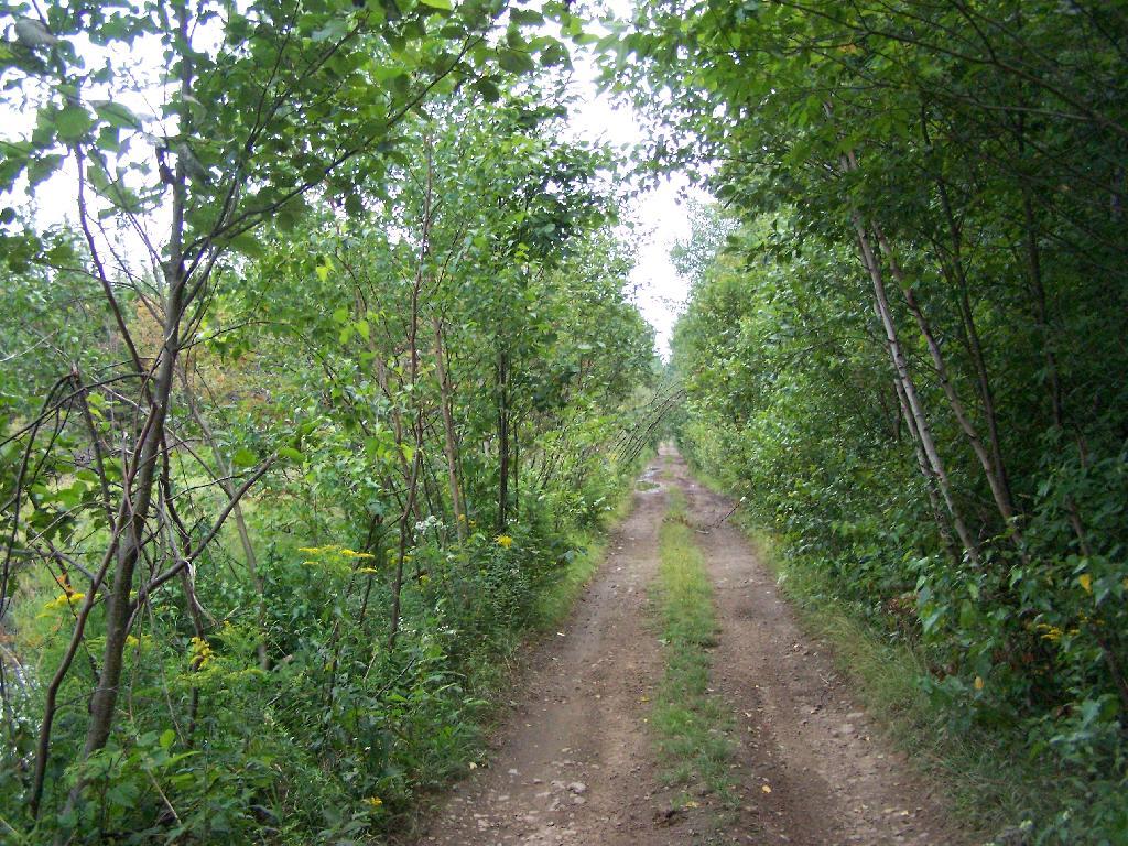 Photo: Truck Trail