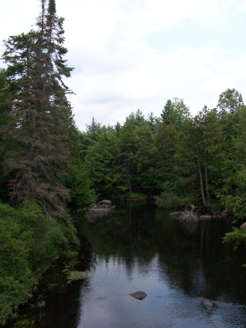 Photo: Deer River