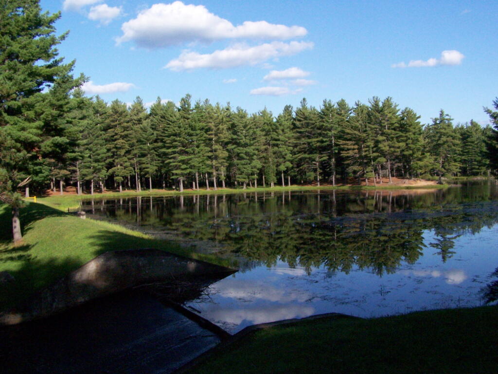 Photo: C.C. Dam