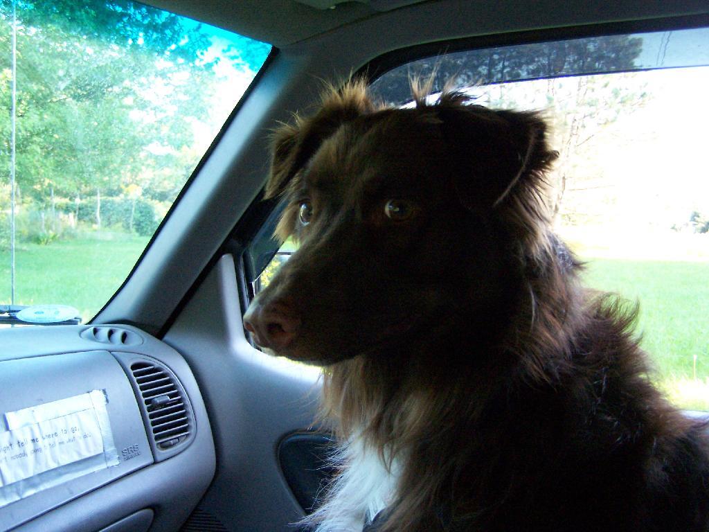 Photo: Truck Ride !!
