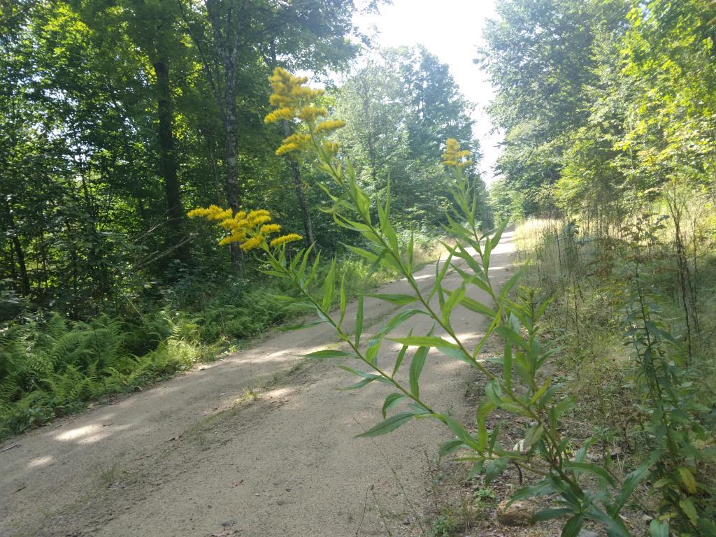 Photo: Along Mud Lake Road