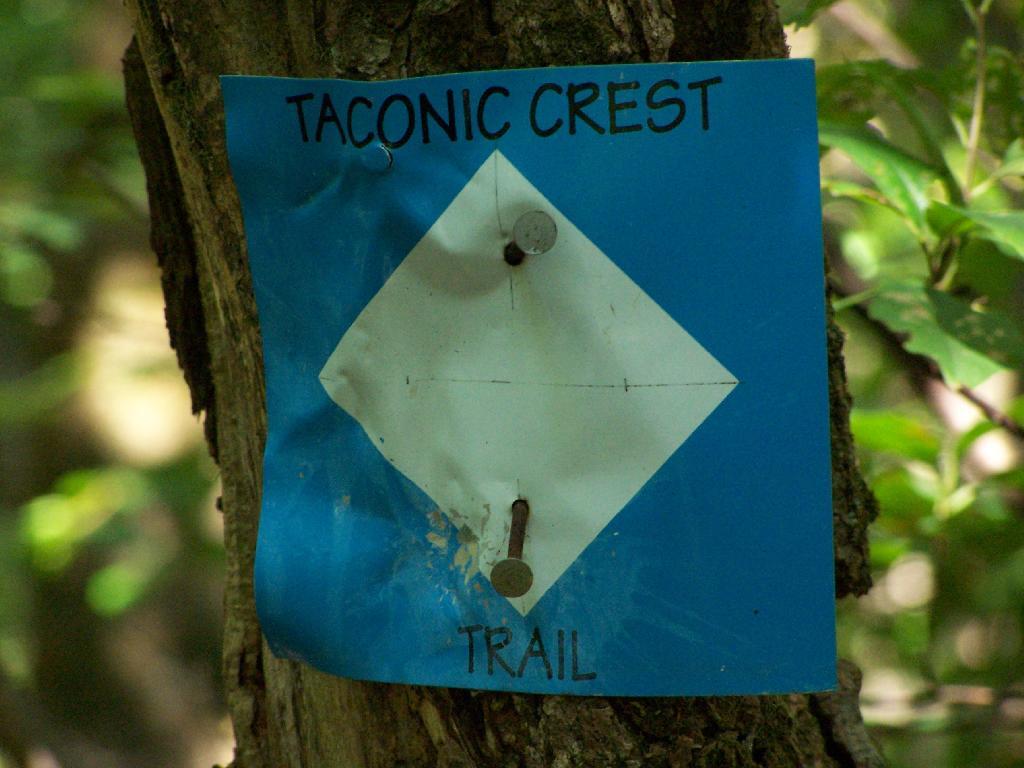 Photo: Taconic Crest Trail