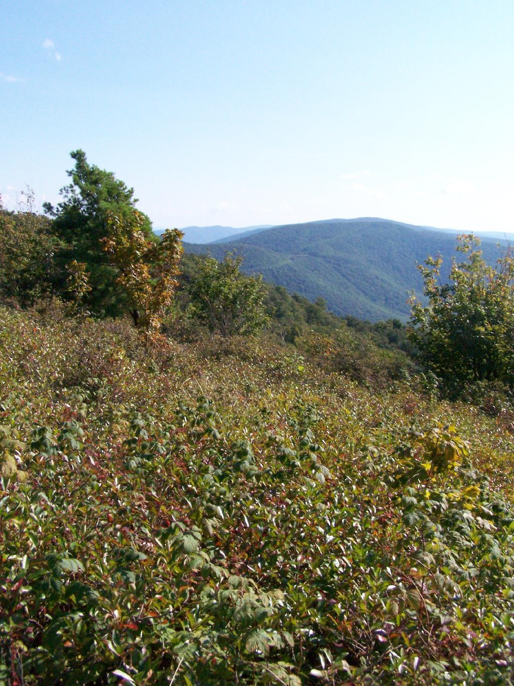 Photo: Mount Raimer Photo: Mount Raimer
