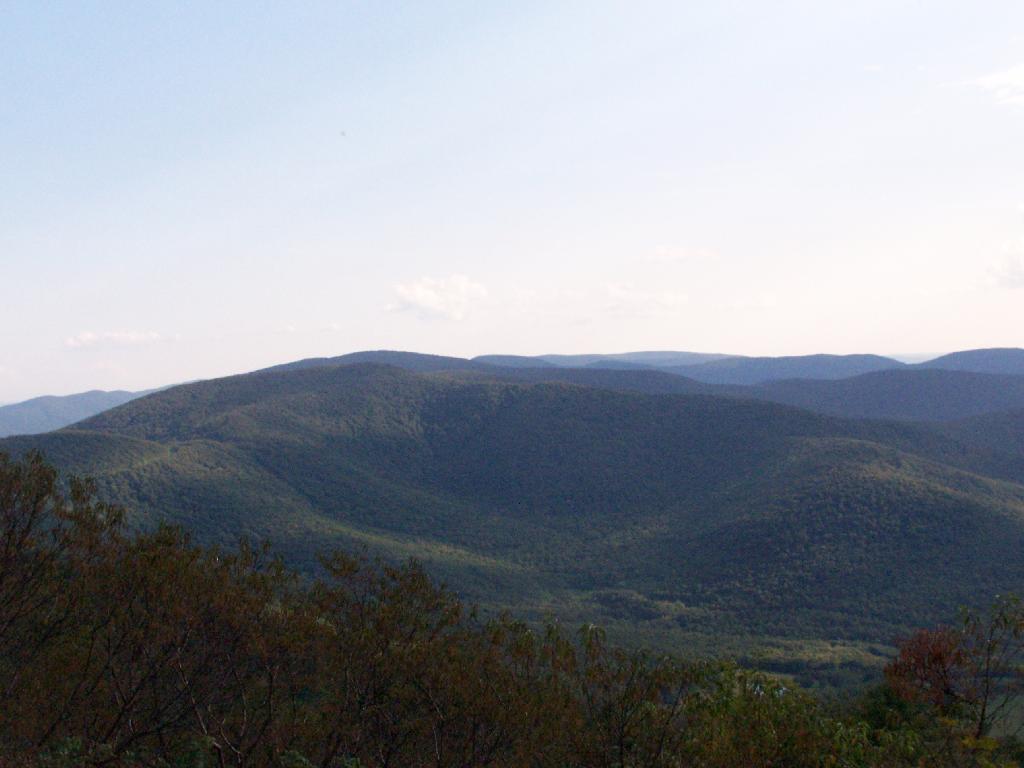 Photo: Evening on Mount Raimer