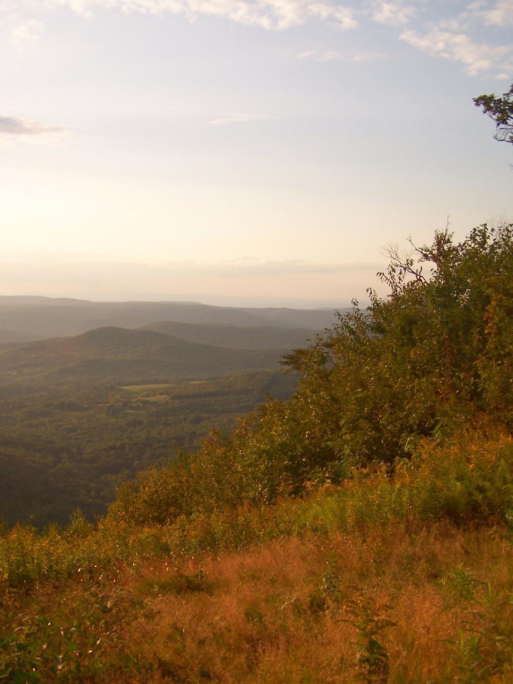 Photo: Landscape