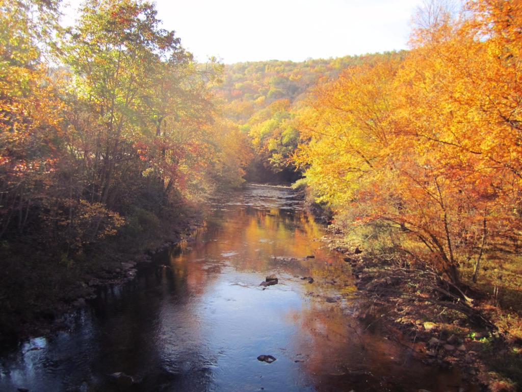 Photo: Spring Creek in Hallton Photo: Spring Creek in Hallton